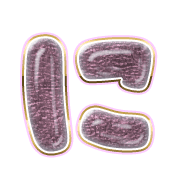 022