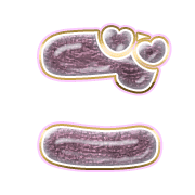 060