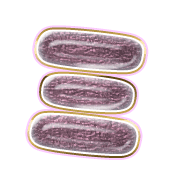 112