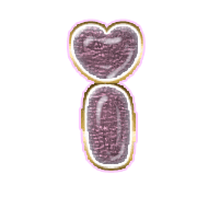 196
