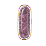 199
