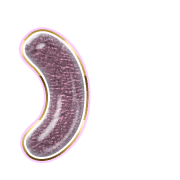 235