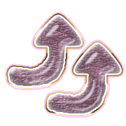 270
