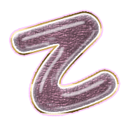 305