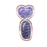 196