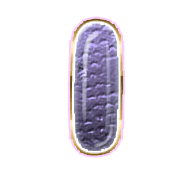 199