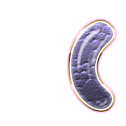234