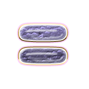 239