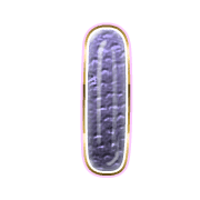 242
