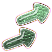271