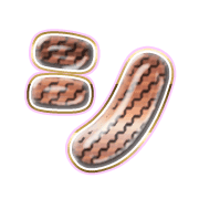 092