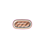 251