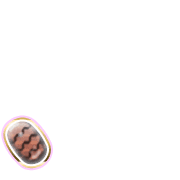 256