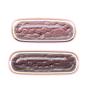 102