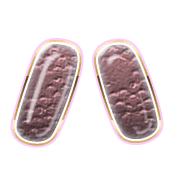 106