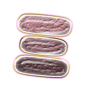 112