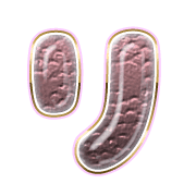 120