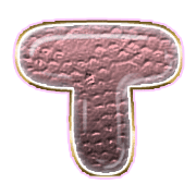 181