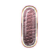 199