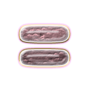 239