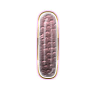 242