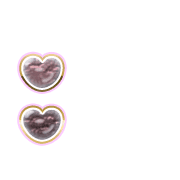 244