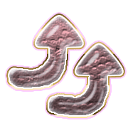270