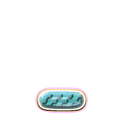250