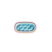251