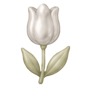 025