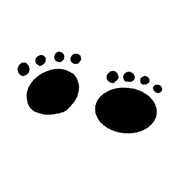 013