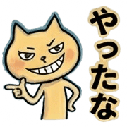 003