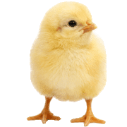 021