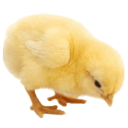 022