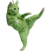 010