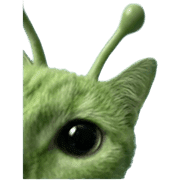 025