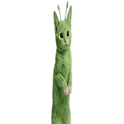 028