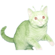 031