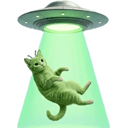 039