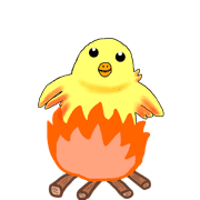 003
