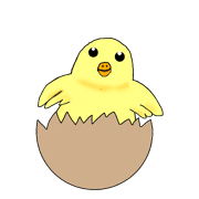 005