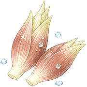 040