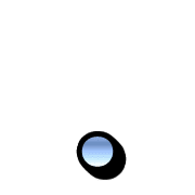 246