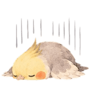 031