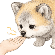 020