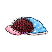 016
