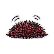 024