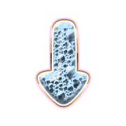 261