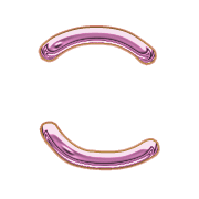 010