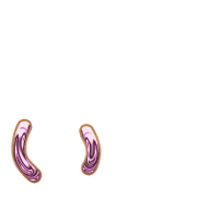 048